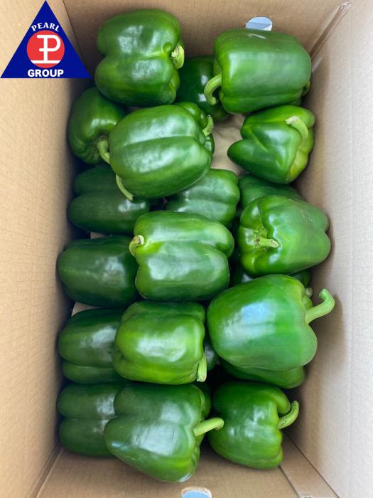 Black Pepper